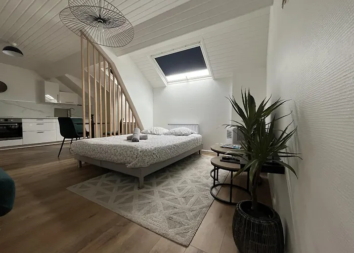 Apartament Coeur De - Angers